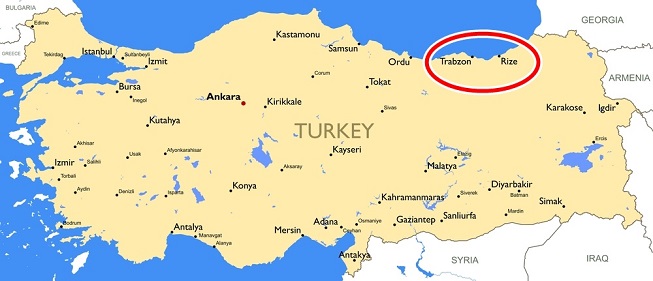 Türkiye’nin En Zeki Şehirleri Belli Oldu!Trabzon 11. Rize 19.sırada