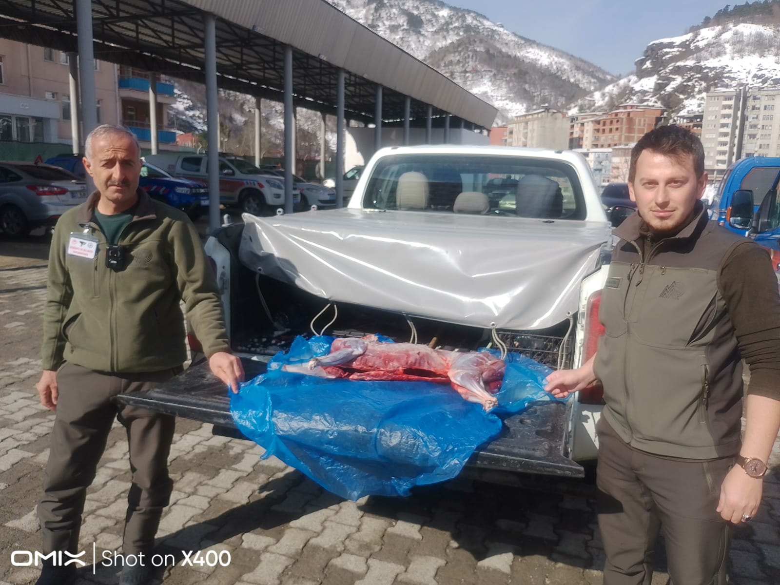 BORÇKA’DA KARACAYI AVLAYAN ŞAHIS YAKALANDI