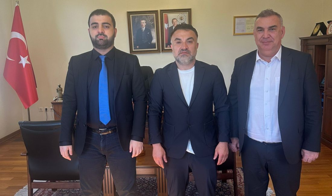 Hopa Ticaret ve Sanayi
