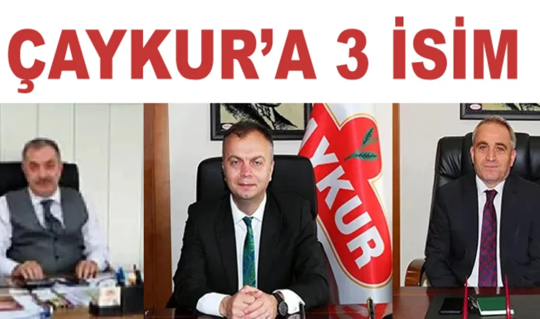 Çaykur Yönetim Kurulu Üyeliğine