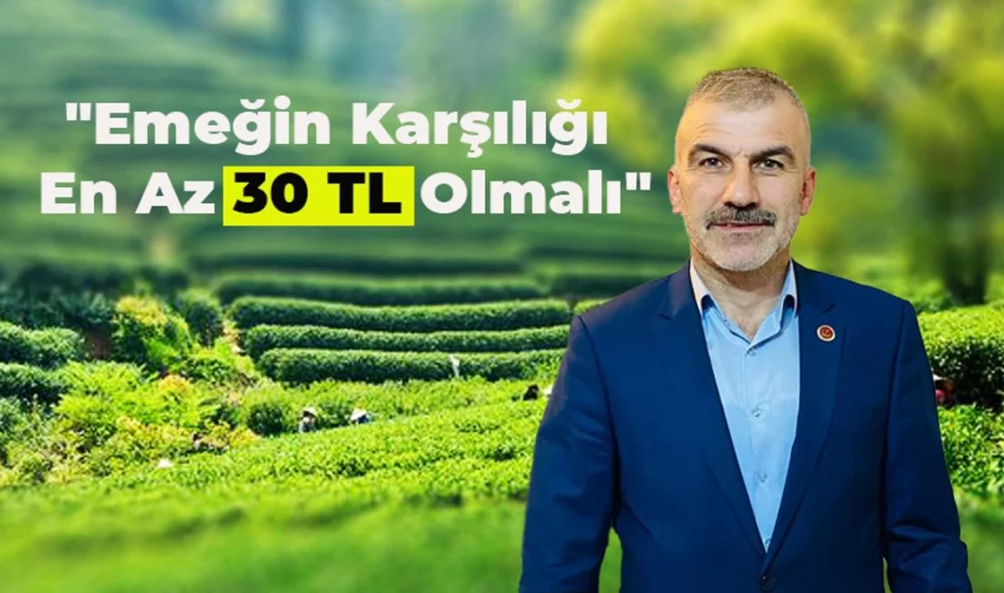 Büyük Birlik Partisi Rize
