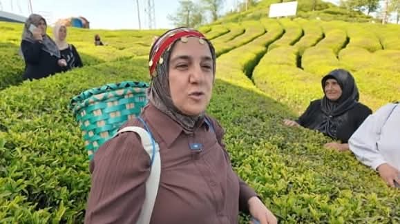 İçişleri Bakanlığı himayelerinde yürütülen
