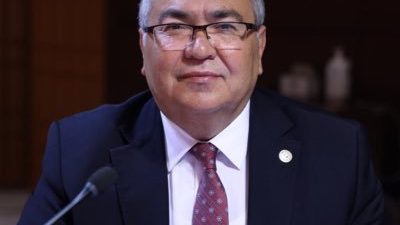 Cumhuriyet Halk Partisi Aydın Milletvekili Süleyman Bülbül, Ankara Büyükşehir Belediyesi