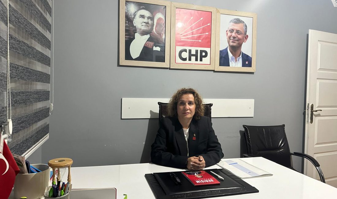 CHP Serdivan İlçe Başkanı Nalan Yedekçi, Sakarya Kırtasiye, Gazete Bayileri,