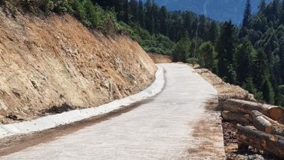 ‘’Çay Bahçeleri Ve Tapulu Araziler Orman Arazisi Yapılmış. Araziler Orman