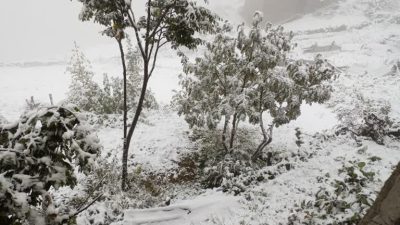 Sonbaharın son günlerinde Rize İkizdere ilçesinin yüksek kısımlarına kar yağdı.