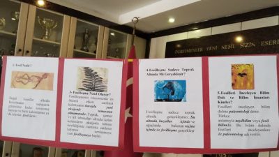 Rize TOBB İlköğretim okulu 4-G sınıfı  öğrencilerinin "fosiller"konulu sergisi