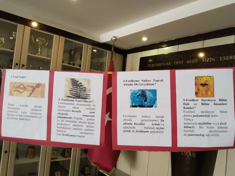 Rize TOBB İlköğretim okulu 4-G sınıfı  öğrencilerinin "fosiller"konulu sergisi