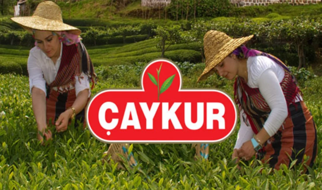 Çaykur üçüncü sürgün yaş çay alımlarına üç Eylül itibariyle bütün
