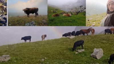 Rize’nin Çamlıhemşin ilçesinde yaşayan Ahmet Kızılhan, yaz aylarını doğayla iç