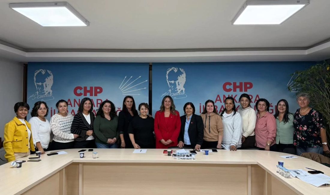 Cumhuriyet Halk Partisi Ankara İl Kadın Kolları Başkanı Ayça Çağlar,
