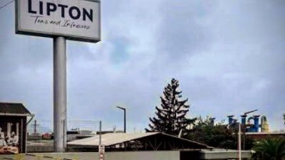 LİPTON’un Rize’nin Pazar ve Fındıklı ilçelerindeki iki yaş çay işleme