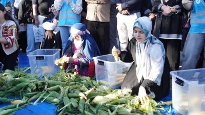 Gastronomi Rize 2025 kapsamında düzenlenen Mısır Ayıklama Yarışması, hem eğlenceli