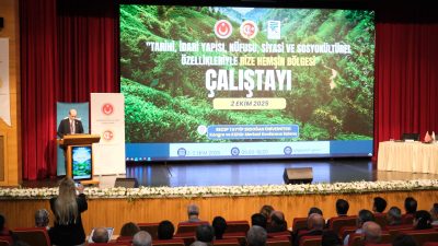 Recep Tayyip Erdoğan Üniversitesi Tarihi, İdari Yapısı, Nüfusu, Siyasi ve