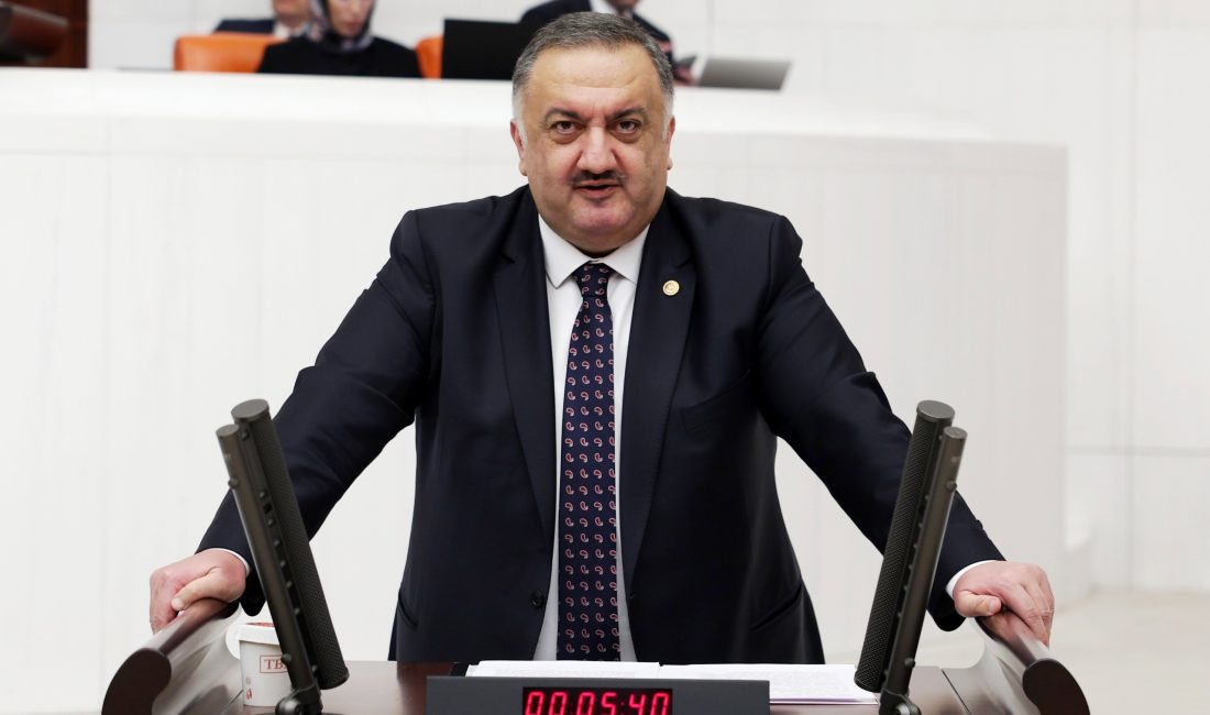DEVA Partisi Genel Başkan Yardımcısı ve İstanbul Milletvekili Hasan Karal,
