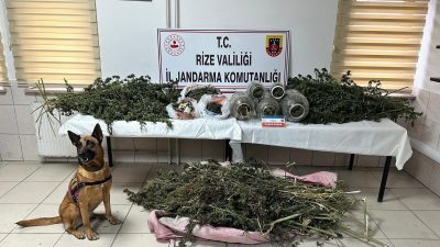 Rize İl Jandarma Komutanlığı, uyuşturucuyla mücadele kapsamında yürüttüğü kararlı operasyonlarda