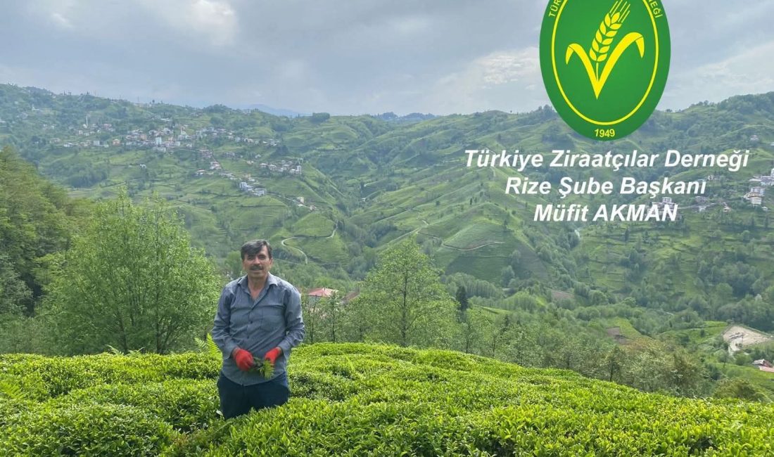 Dünya Gıda Günü: “Daha İyi Gıdalar ve Daha İyi Bir Gelecek İçin El Ele” Birleşmiş Milletler Gıda ve Tarım Örgütü’nün (FAO) kuruluş yıldönümü olan
