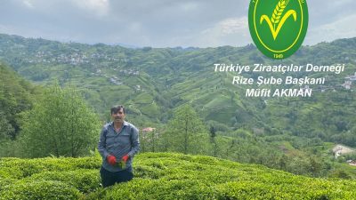 Birleşmiş Milletler Gıda ve Tarım Örgütü’nün (FAO) kuruluş yıldönümü olan