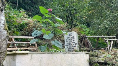 DEVA Partisi Genel Başkan Yardımcısı ve İstanbul Milletvekili Hasan Karal,