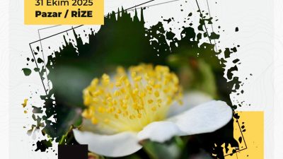 Pazar Ticaret ve Sanayi Odası öncülüğünde, Kaçkar dergisi yürütücülüğünde, Pazar