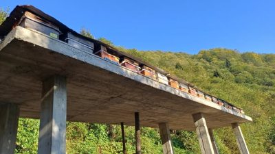 İkizdere’de son günlerde artan ayı görülme vakaları üzerine İkizdere Çevre