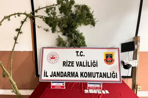 Rize'nin Pazar ilçesinde düzenlenen uyuşturucu operasyonunda 3 şahıs yakalandı.