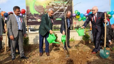 Vali İhsan Selim Baydaş, Rize Belediye Başkanı Rahmi Metin, Orman