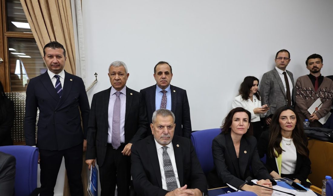 CHP Rize Milletvekili Tahsin Ocaklı, Hazine ve Maliye Bakanlığı Bütçesinin