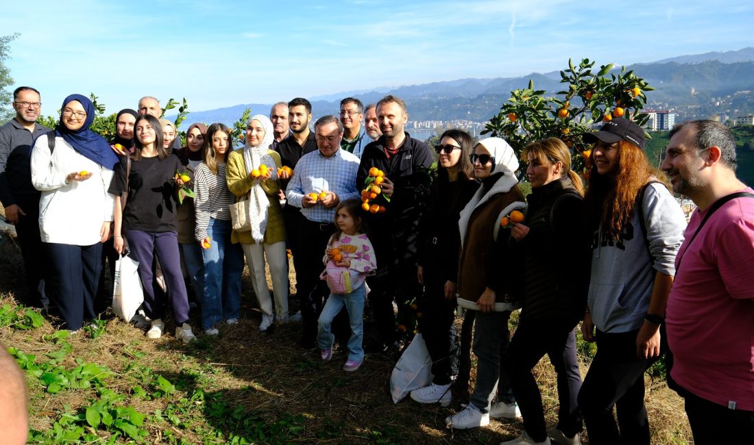 ÇAYKUR Atatürk Çay ve Bahçe Kültürleri Araştırma Enstitüsünde kurulan bahçede