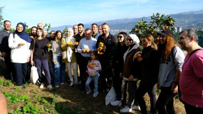 ÇAYKUR Atatürk Çay ve Bahçe Kültürleri Araştırma Enstitüsünde kurulan bahçede