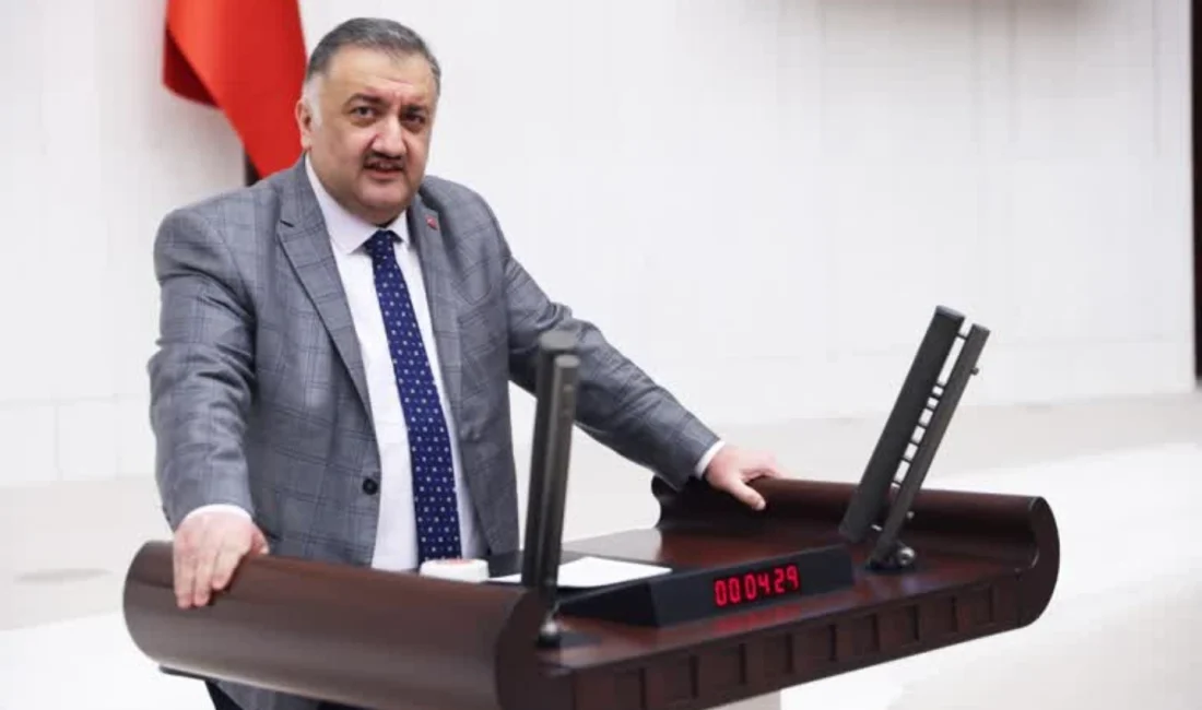 DEVA Partisi Genel Başkan Yardımcısı ve İstanbul Milletvekili Hasan Karal,