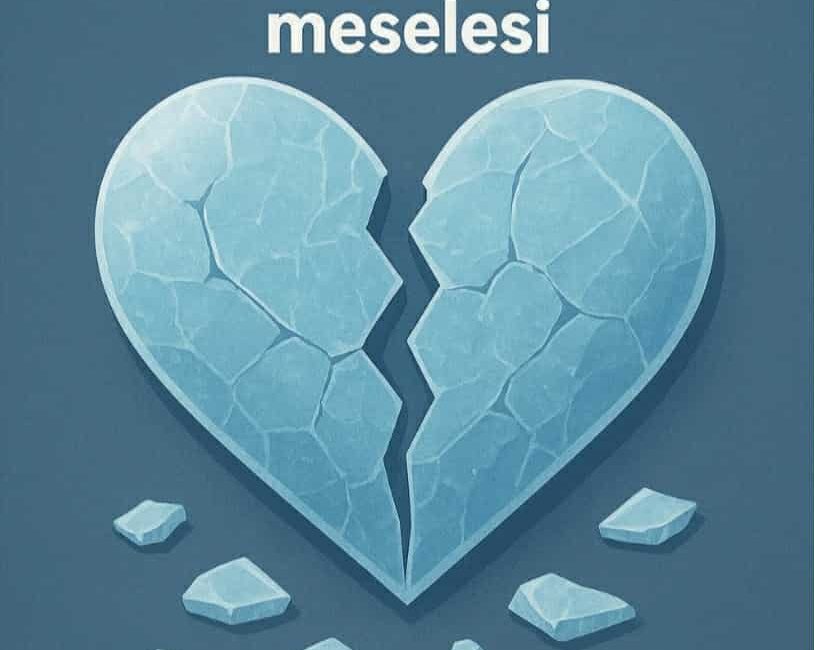 Makale:Filozof Sosyolog Bu seferki yazımı biraz karşı cinsi eleştirir, biraz