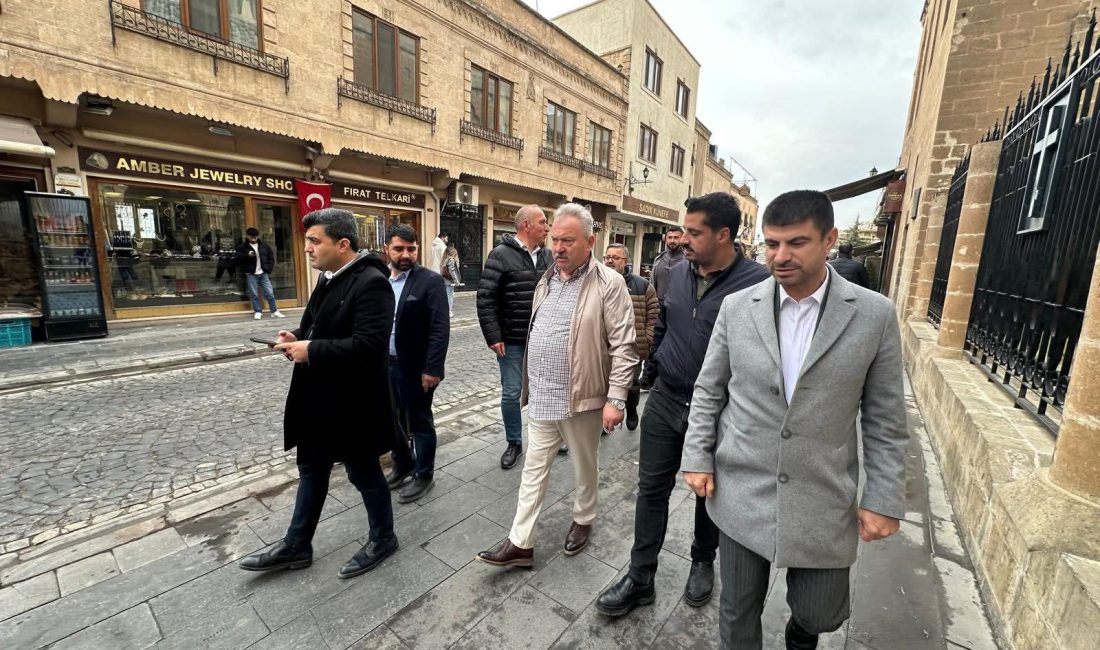 AK Parti Rize İl Başkanı Yılmaz Katmer, Mardin ve Diyarbakır'da