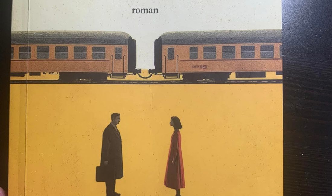 Kitap analiz:Adnan ONAY &nbsp; Türk romancılığının tarihi oldukça yeni sayılır.