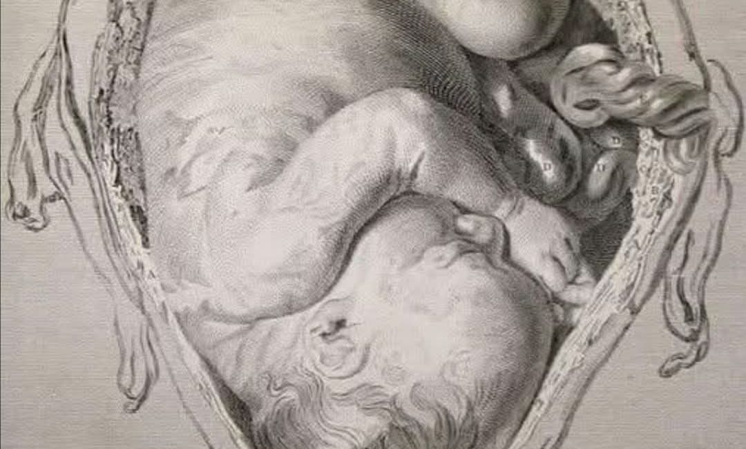 Filozof Sosyolog Kaleminden —————– Bazı bağlar vardır, ip gibi görünmez