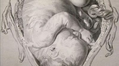 Filozof Sosyolog Kaleminden —————– Bazı bağlar vardır, ip gibi görünmez