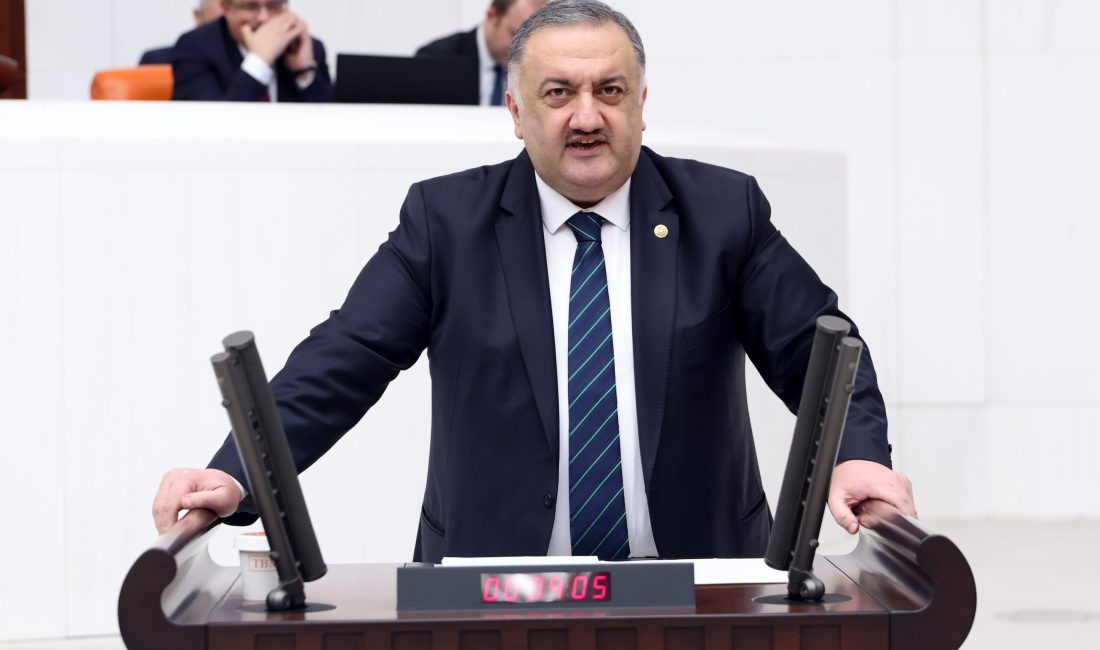 DEVA Partisi Genel Başkan Yardımcısı ve İstanbul Milletvekili Hasan Karal,