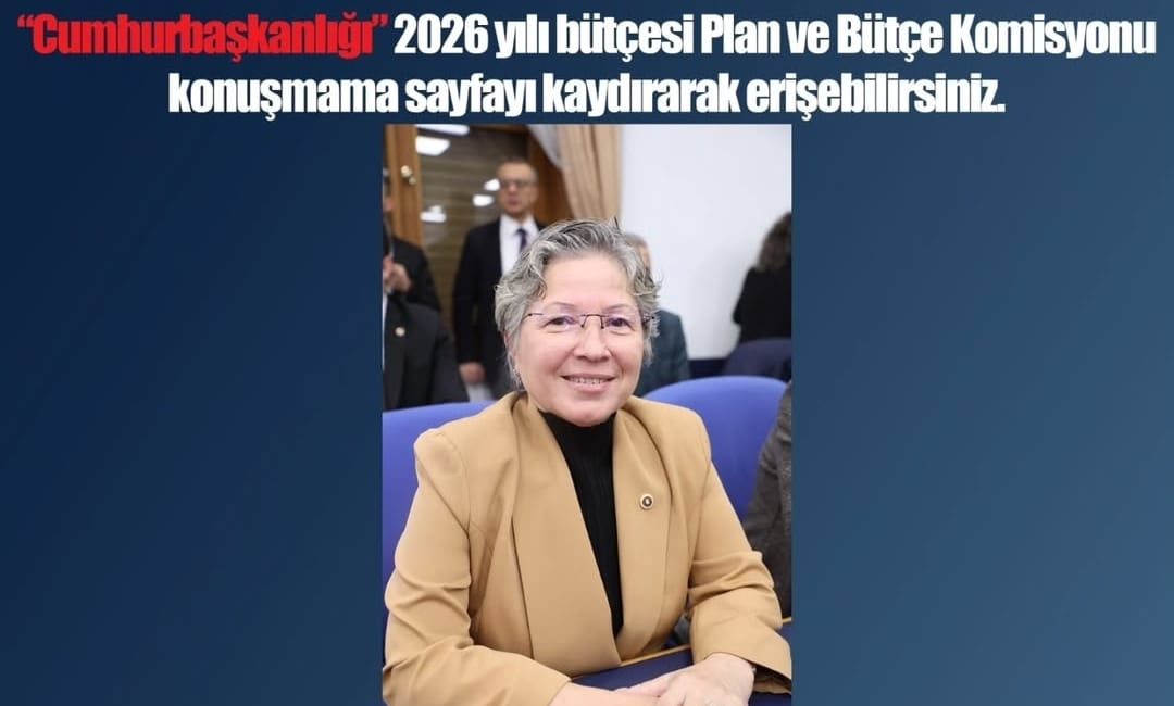CHP Tekirdağ Milletvekili Nurten Yontar, Plan ve Bütçe Komisyonu’nda yaptığı