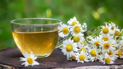 Papatya çayı, sindirim sistemi üzerinde olumlu etkiler sağlayarak rahatlama sunar
