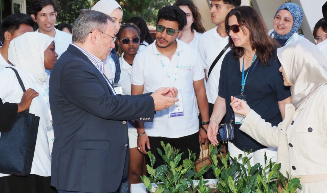 Dünyada üzerine kar yağan ve yaş çay tarımının yapıldığı Doğu