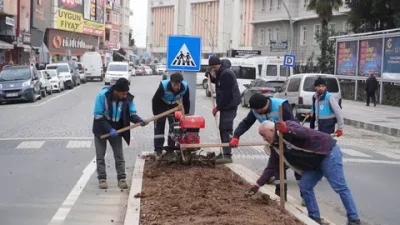 Rize Belediyesi, yaz mevsimine hazırlık olarak yeşil alanları artırmak için