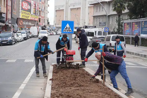 Rize Belediyesi, yaz mevsimine hazırlık olarak yeşil alanları artırmak için