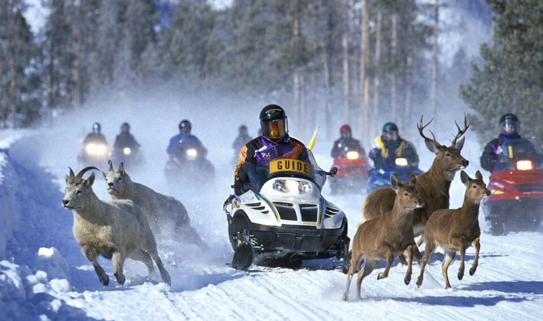 Kışın doğaya yakışan sessizliktir. Karın üstüne düşen tek bir adımın