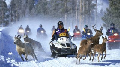 Kışın doğaya yakışan sessizliktir. Karın üstüne düşen tek bir adımın