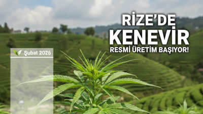 Rize tarımında yeni bir sayfa açılıyor. Tarım ve Orman Bakanlığı’nın