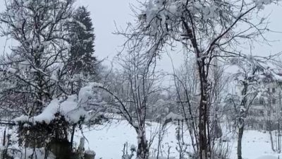 Rize’de dün akşam saatlerinde etkisini göstermeye başlayan kar yağışı, özellikle