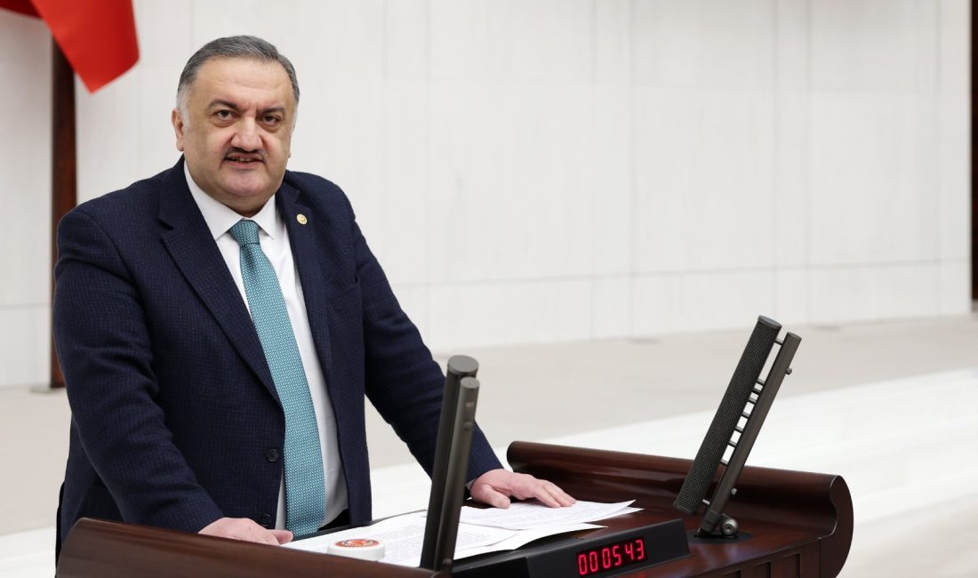 DEVA Parti Genel Başkan Yardımcısı ve İstanbul Milletvekili Hasan Karal