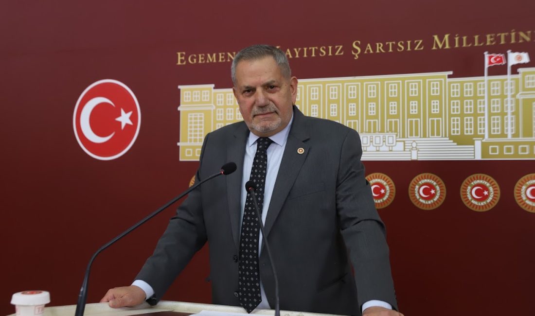 CHP Rize Milletvekili Tahsin Ocaklı, öğretim görevlilerinin emeklilik yaş haddinin