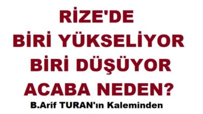 Açık konuşalım. Pazar ilcemizde Aynı devlet. Aynı hükümet. Aynı Osman