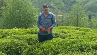 Türkiye Ziraatçılar Derneği Rize Şube Başkanı Müfit Akman, çay bahçelerinde